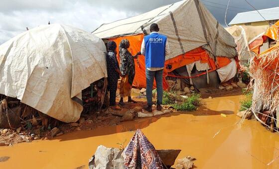 Des employés de l'OIM évaluent les dégâts causés par les inondations dans un campement somalien où les abris de fortune sont endommagés.